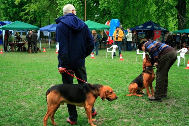 _MG_4760.JPG