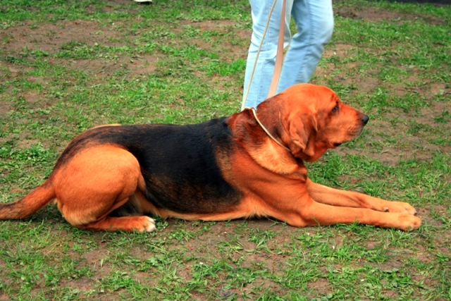 _MG_4783.JPG