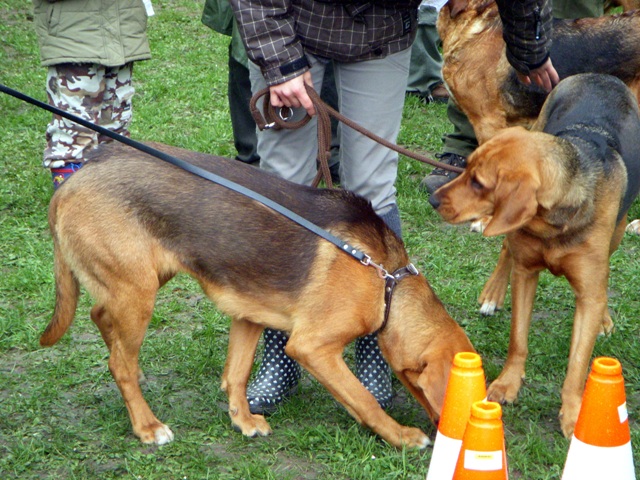 DSCN1762.JPG