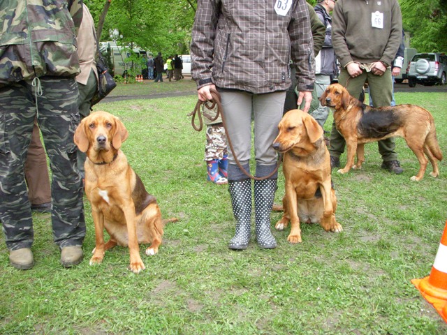 DSCN1767.JPG