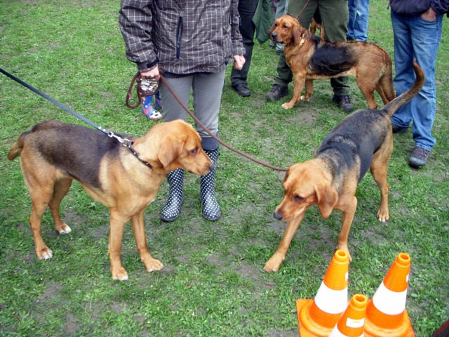 DSCN1770.JPG