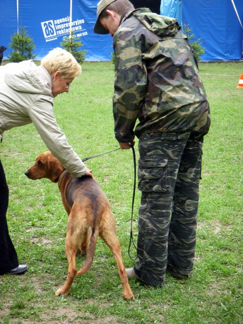 DSCN1776.JPG