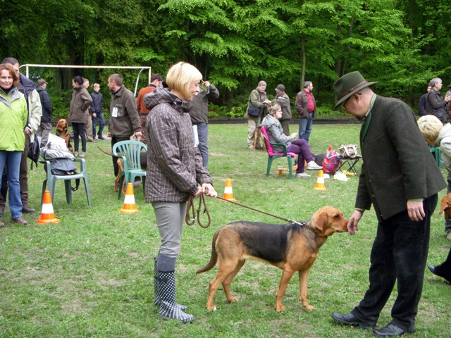 DSCN1786.JPG