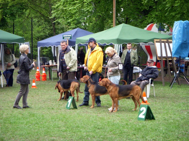 DSCN1846.JPG