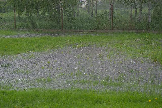 IMGP5912.JPG