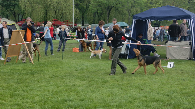 DSC02043.JPG