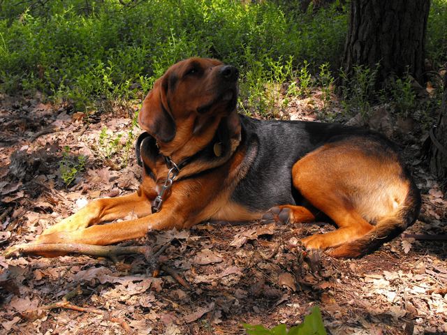 DSCF5027.JPG