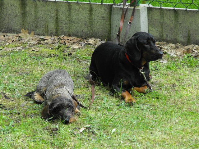 DSCF5031.JPG