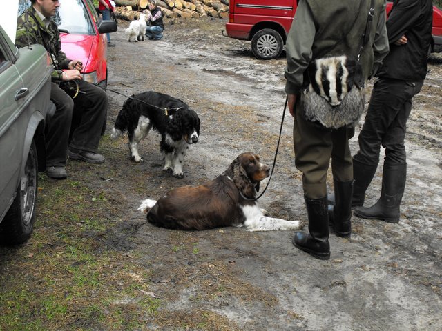DSCF5007.JPG