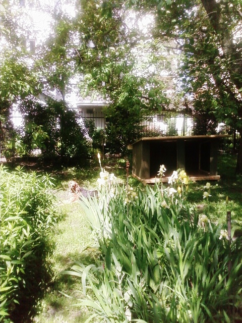 Dunia przy nowej wiacie maj 2010.jpg