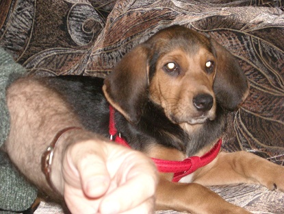 DSCN0158.JPG