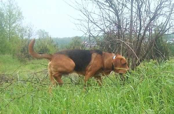 Obraz 004.jpg