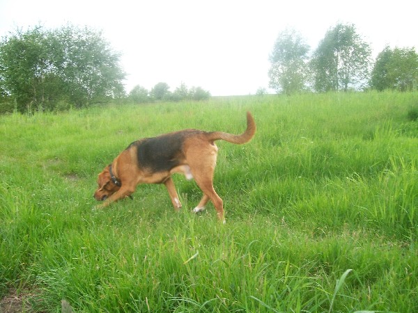 Obraz 019.jpg
