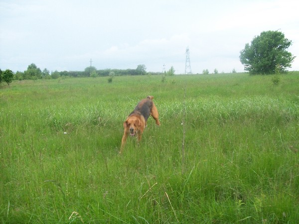 Obraz 027.jpg