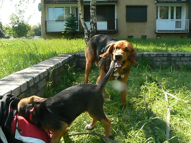 P1070590.jpg