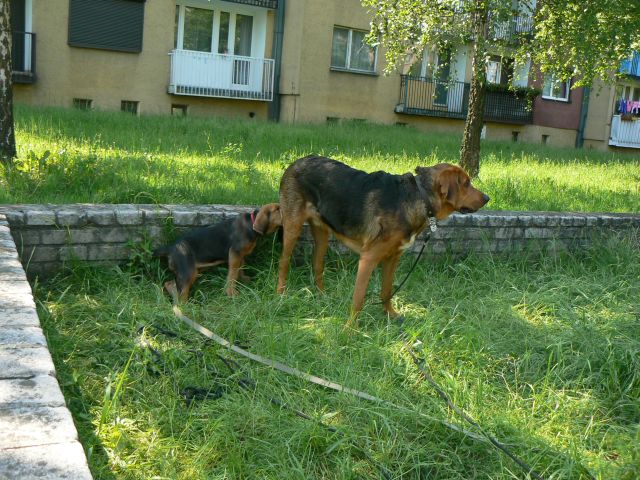 P1070609.jpg