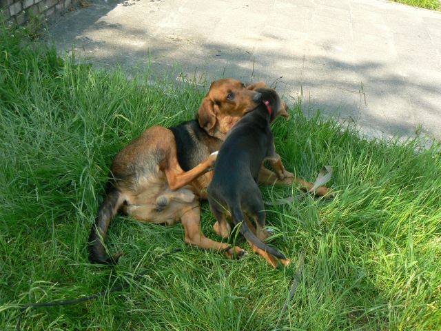 P1070636.jpg