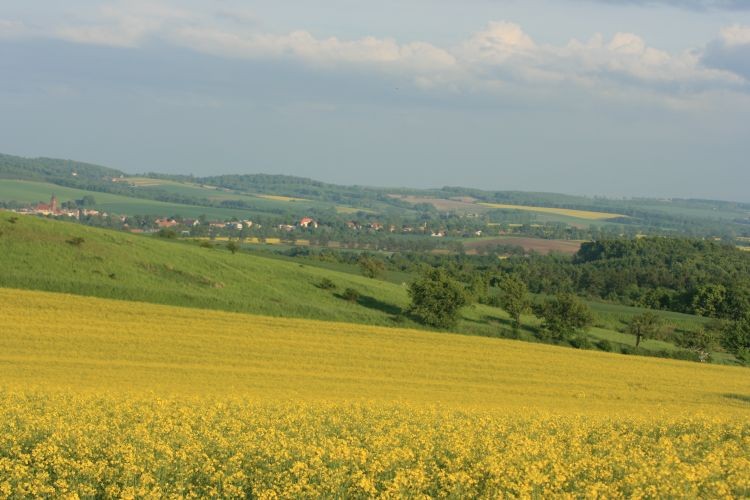 W oddali Niemcza i Przerzeczyn Zdrój.