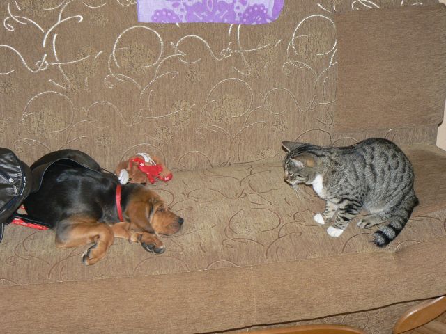P1070674.jpg