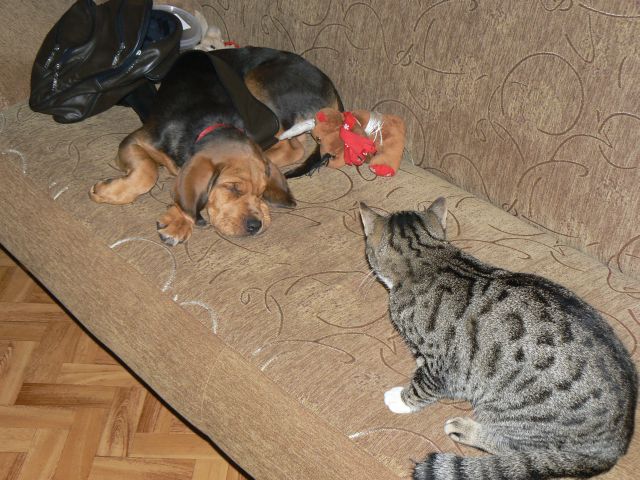 P1070675.jpg