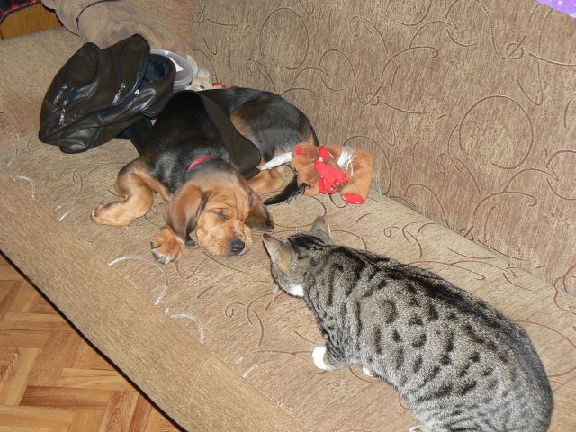 P1070677.jpg