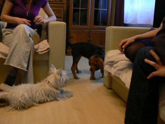 P1070686.jpg
