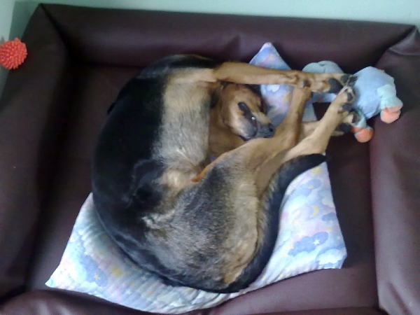 03062010901.jpg