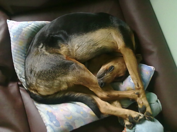03062010904.jpg