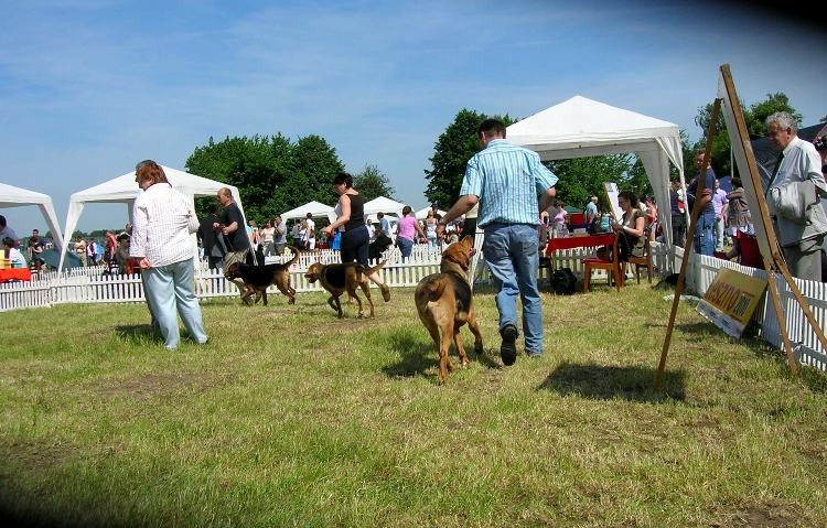 DSCN4381.JPG