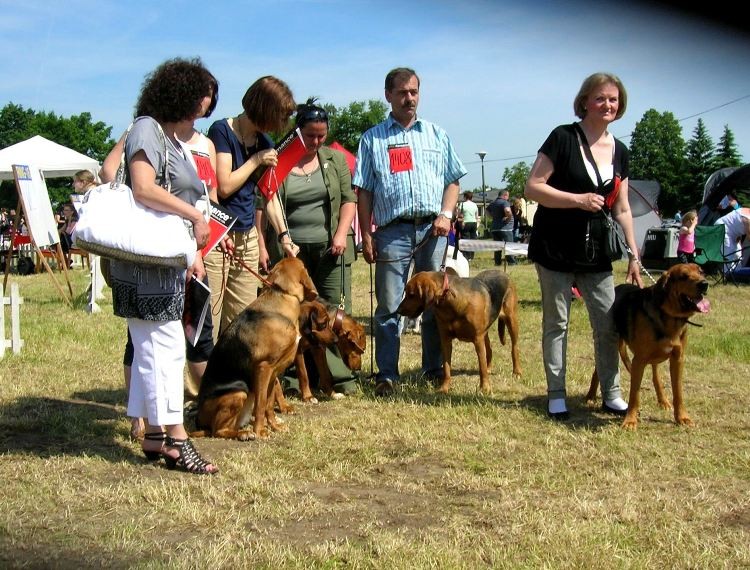 Towarzystwo zniecierpliwione, ale w końcu Balt się pokazał