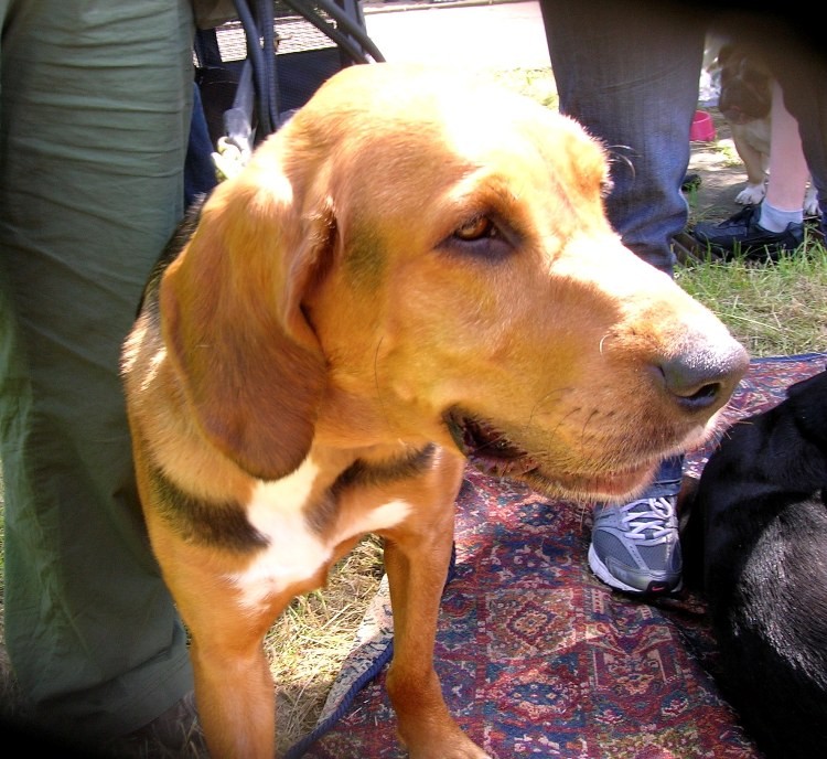 DSCN4389.JPG
