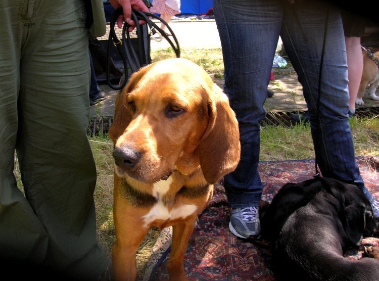 DSCN4390.JPG