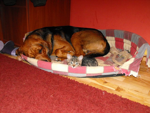 DSCF5021.JPG