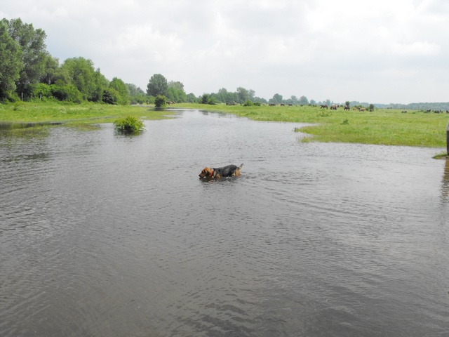 DSCF5014.JPG