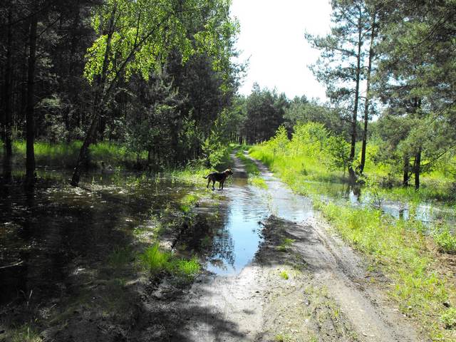 DSCF5075.JPG