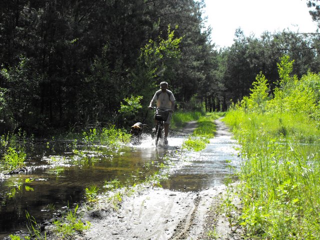 DSCF5109.JPG