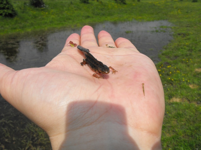 DSCF5102.JPG