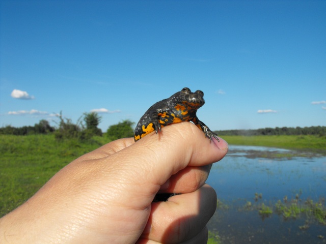 DSCF5043.JPG