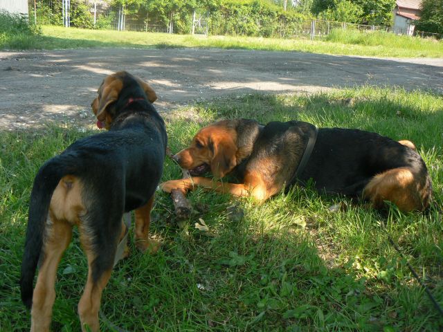 P1070891.jpg