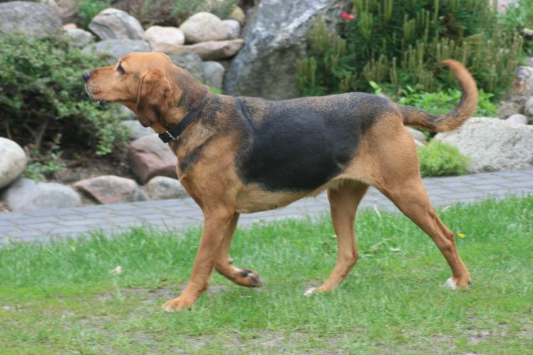 Zgrabna modelka Jocia