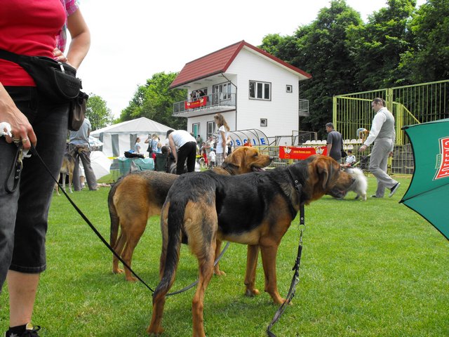 DSCF5160.JPG