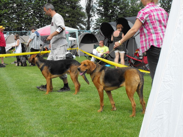 DSCF5196.JPG