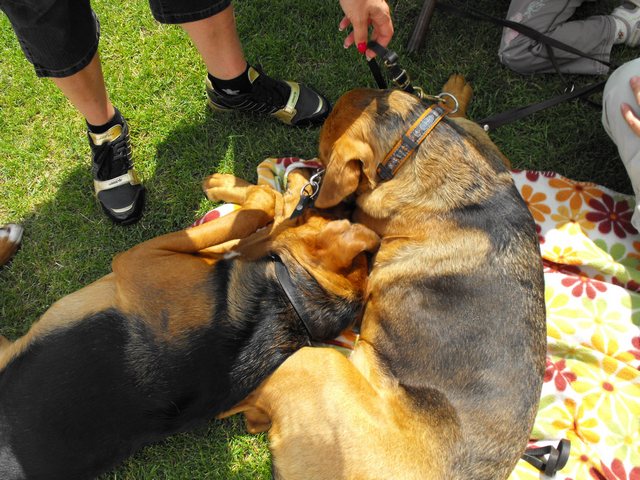 DSCF5157.JPG