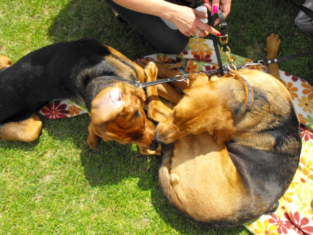 DSCF5158.JPG