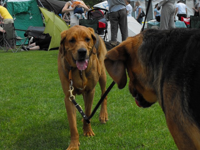 DSCF5161.JPG