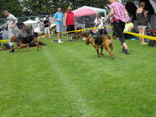 DSCF5197.JPG