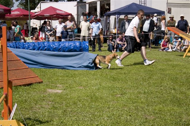 DOD_060610_369.jpg