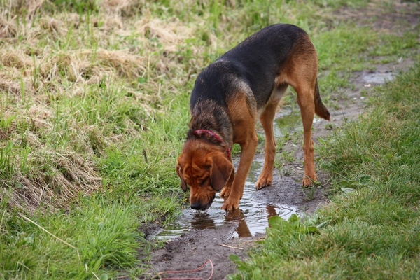 w domu nie dają takiej dobrej wody