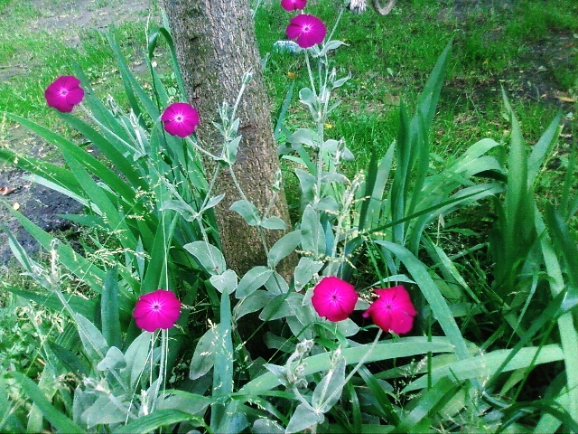 Zdjęcie0694.jpg