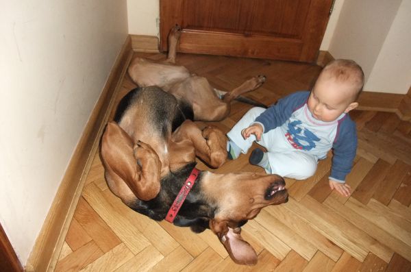 Ulubiona pozycja Huby
